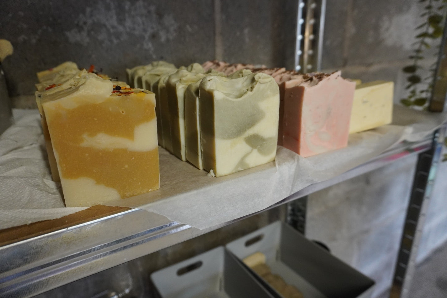 French Green Clay & Eucalyptus
